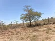 27 Acres Farmland in Ngoliba, Machakos Border, Near Garissa Rd - 2