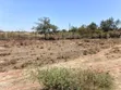 27 Acres Farmland in Ngoliba, Machakos Border, Near Garissa Rd - 3