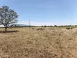 27 Acres Farmland in Ngoliba, Machakos Border, Near Garissa Rd - 4