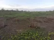 7.5 Acres Land for Sale in Chakama, 500m from Tarmac - 2