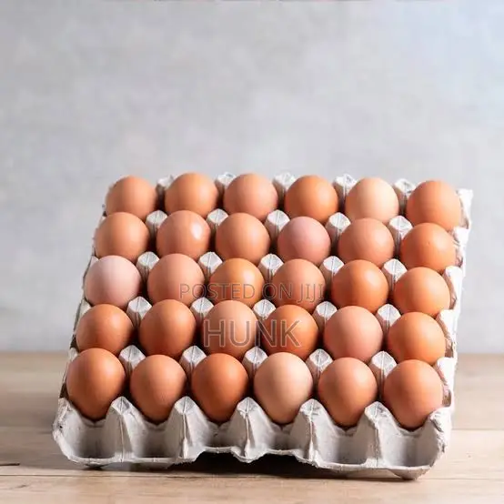 Healthy Brown Eggs (Layers) - 1