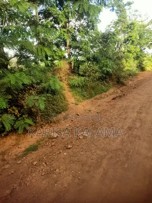 10 Acres Land for Sale - Vitengeni, Sokoke