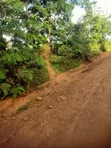 10 Acres Land for Sale - Vitengeni, Sokoke - 1