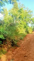 10 Acres Land for Sale - Vitengeni, Sokoke - 2