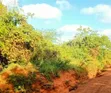 10 Acres Land for Sale - Vitengeni, Sokoke - 3