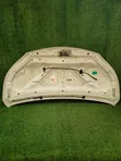 Mitsubishi Delica Van BVM20 Bonnet (2014) - 2