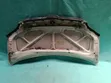 Toyota Noah Bonnet (2004) - 2