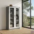 Kabati la Ofisi lenye Mlango wa Kioo Safi wa Kuonyesha - 4