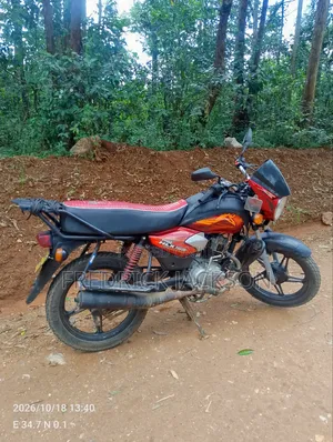 TVS HLX Plus ES 2020 Nyekundu