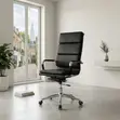 Kiti cha Ofisi cha Mtendaji cha CEO chenye Mgongo Mrefu - 2