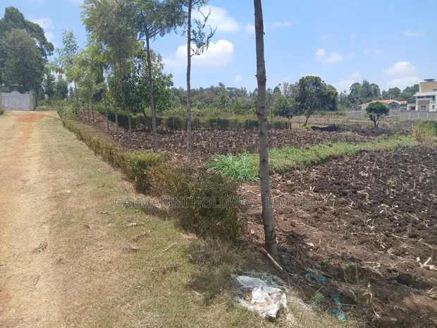 100x100 Plot for Sale in Olkeri, Ngong - Gated-Like Estate - 1