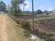 100x100 Plot for Sale in Olkeri, Ngong - Gated-Like Estate - 1