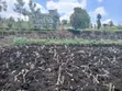 100x100 Plot for Sale in Olkeri, Ngong - Gated-Like Estate - 3