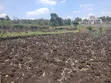 100x100 Plot for Sale in Olkeri, Ngong - Gated-Like Estate - 4