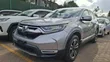 Honda CR-V LX AWD 2019 Nyeupe - 2