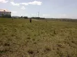 Kitalu cha 50x100 Kinauzwa Olchore-Kiserian - 4