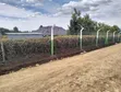 Vitia vya Ngata Vinauzwa - Nakuru - 3