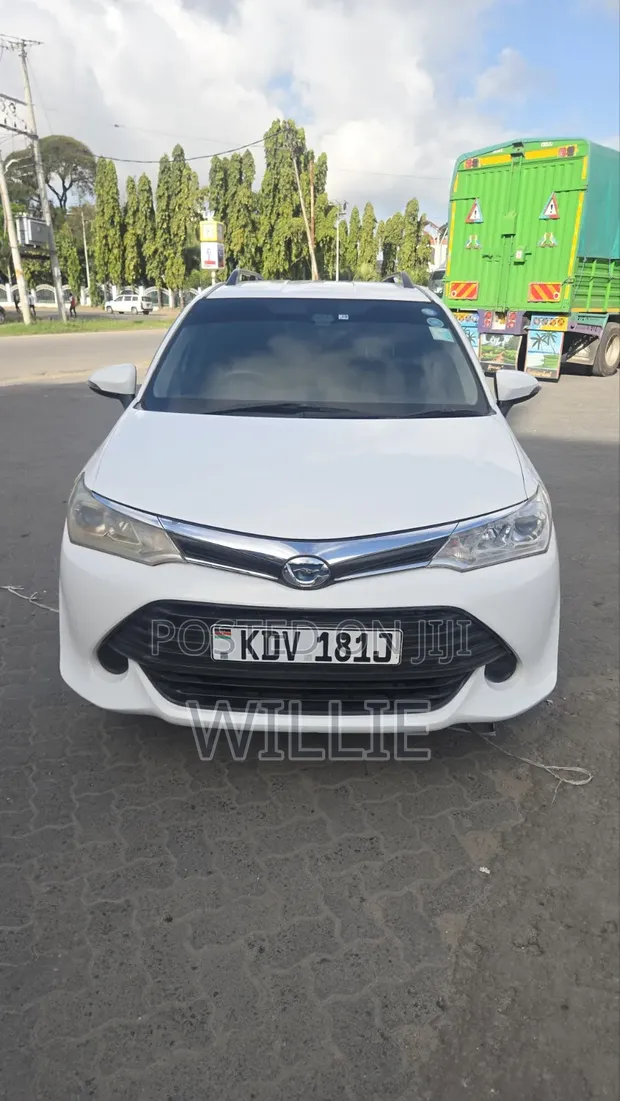 Toyota Corolla Fielder 2018 White - 1