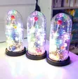 Kituo Kipya cha Krismasi cha Dome cha Kioo chenye Taa za LED - 1