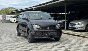 Suzuki Alto 2018 - Mvuli wa Mjini Metallic