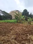 1.5 Acre Commercial Land for Sale, Sigona Limuru - 2