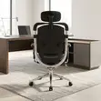 Kiti cha Ofisi cha Dual Backrest Lumbar Support - Fremu ya Aluminium - 2