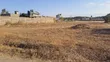 Ruiru Kamakis Plot for Sale - Commercial Use - 1