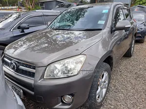 Toyota RAV4 2010 Rangi ya Kahawia