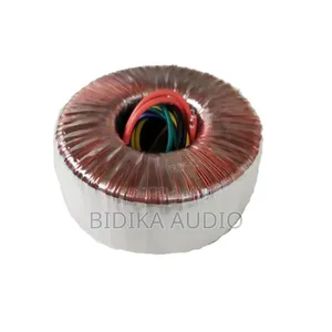 50/60Hz Toroidal Transformer 100W-300W