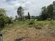 2 Acres Prime Land for Sale Near Kirawa Road - 3