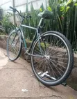 Trek Bicycle - 28" Wheels, Shimano Gears - 2