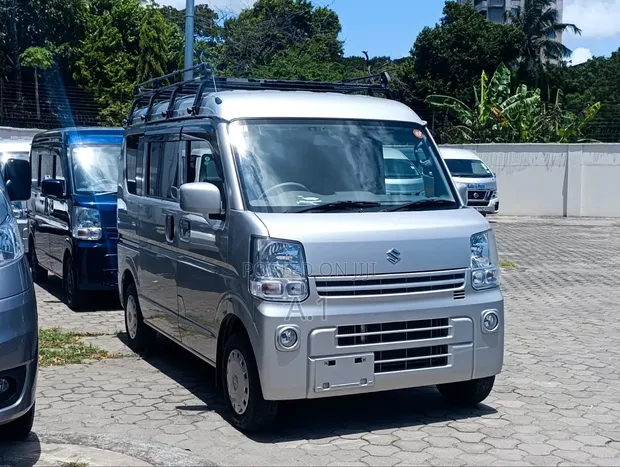 2020 Suzuki Every 660cc Silver - 1