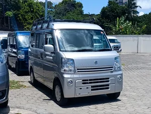 2020 Suzuki Every 660cc Silver