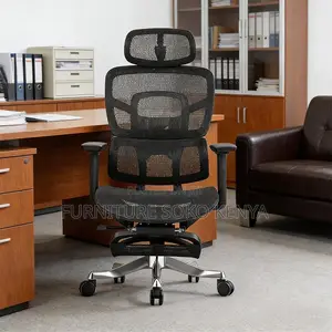 Mady Ergonomic High-Back Mesh Office Chair