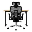 Mady Ergonomic High-Back Mesh Office Chair - 3