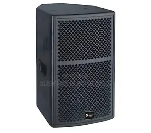 Thunder Sound TS110 2-Way Full-Range Loudspeaker