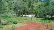 12.4 Acres Fertile Farmland with River Frontage, Murang'a - 3