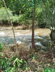 12.4 Acres Fertile Farmland with River Frontage, Murang'a - 4