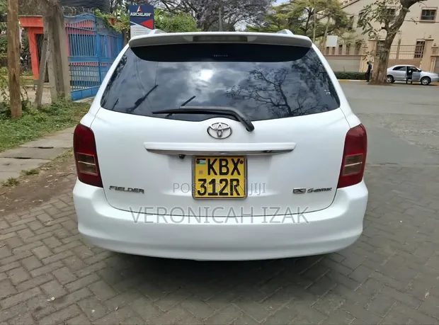 Toyota Corolla Fielder 2007 White - 1