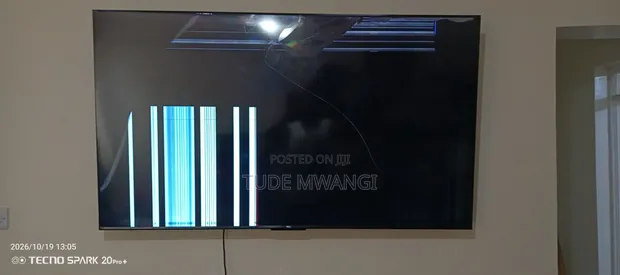 TCL 65" TV - Faulty Screen - 1