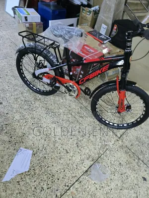 20" CF Kids Bicycle with Disc Brakes
