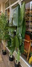 Large Artificial Banana Flower 180cm - 2
