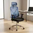 Kiti cha Ofisi cha Mesh Nyeusi chenye Ergonomic - 1
