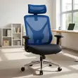 Kiti cha Ofisi cha Mesh Nyeusi chenye Ergonomic - 2