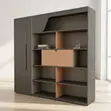 Executive Wall Unit yenye Mwanga - 2