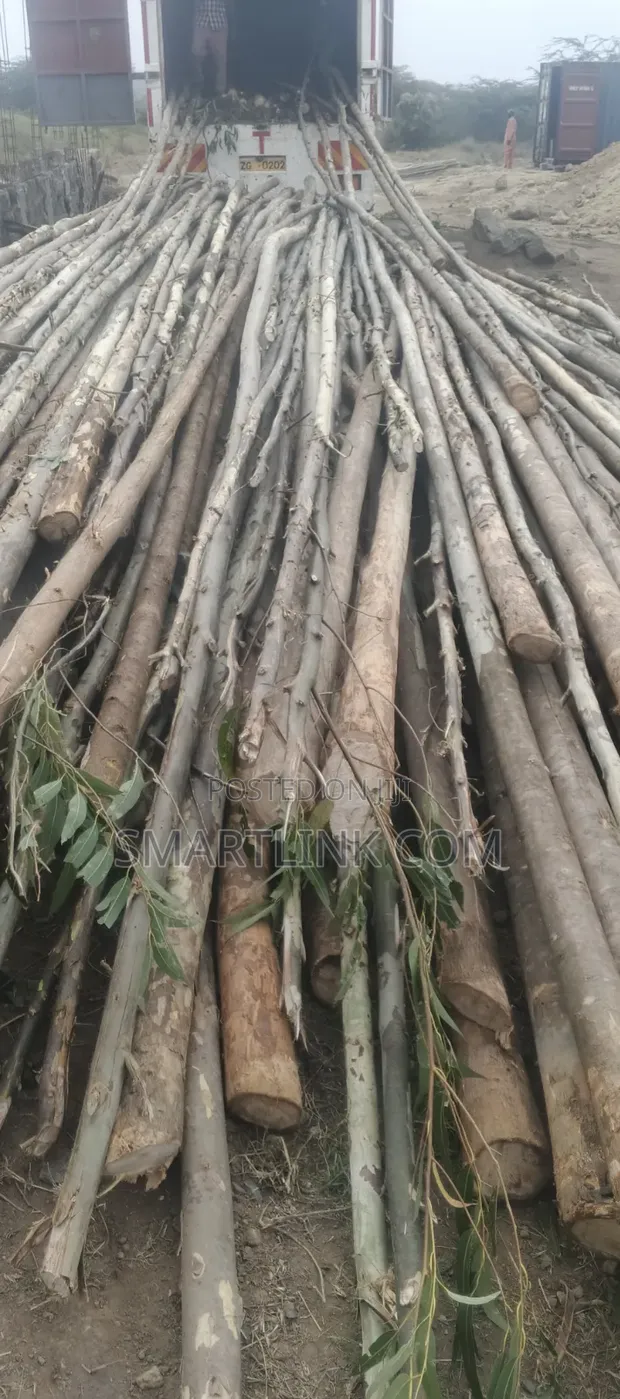 Poles and Posts for Sale - 1
