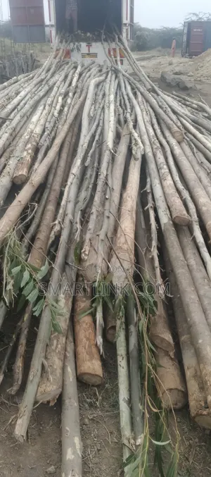 Miti na Nguzo za Kuuzwa