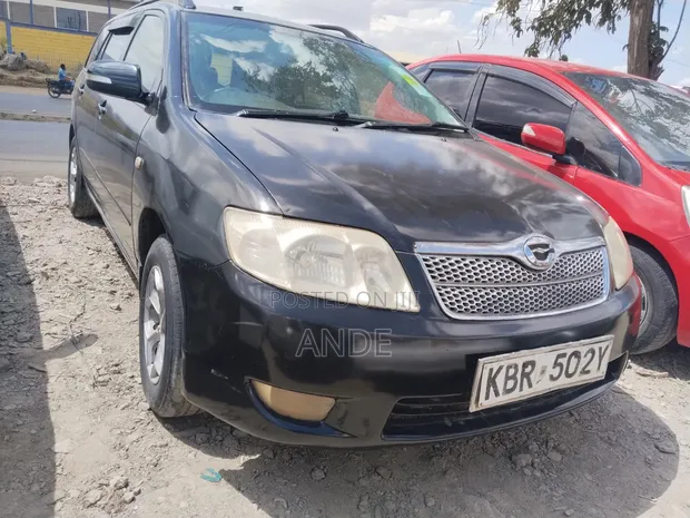Toyota Corolla Fielder 2006 - 1
