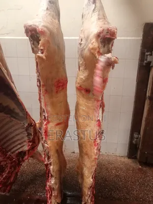 Nyama Bora ya Ng'ombe Halal - Dagoretti Slaughterhouse
