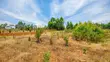 Prime Residential Plot for Sale in Kikuyu, Ng'amba - 2